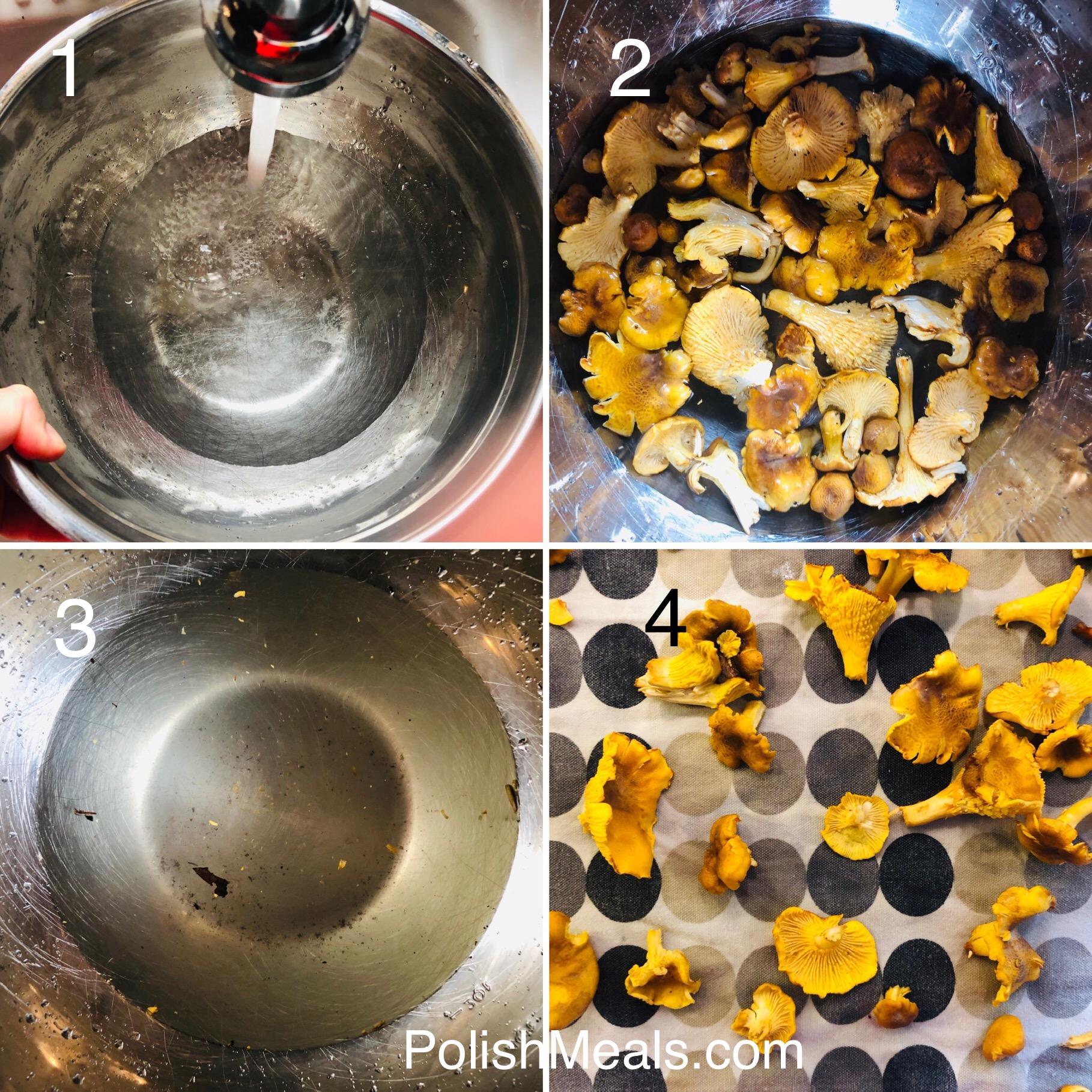 Polish Mushroom Wild Chanterelles how to clean? Polish Meals