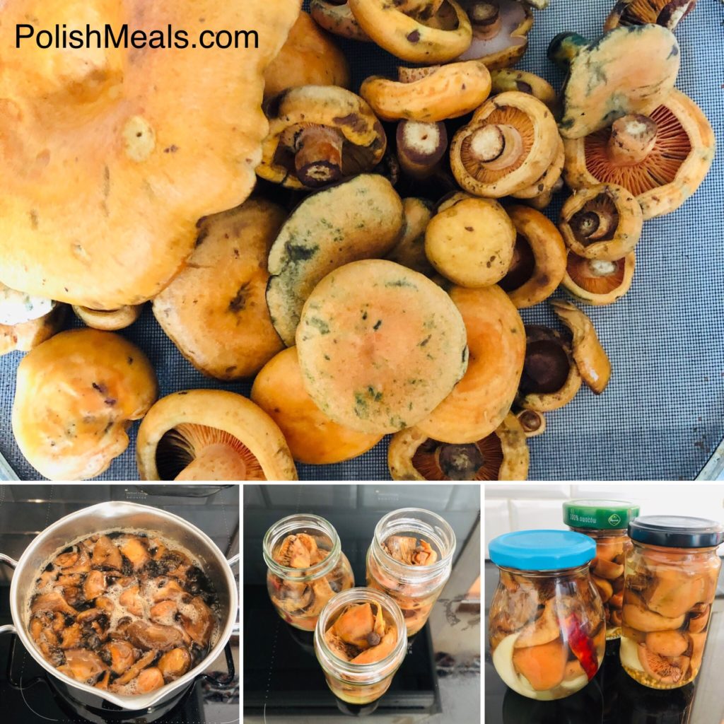 pickled orange milk mushroom recipe